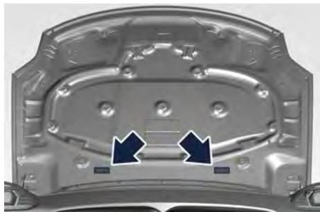 Maserati Grecale (2022) - Étiquette générale comptant des remarques d'advertissement et des précautions à prendre - 1