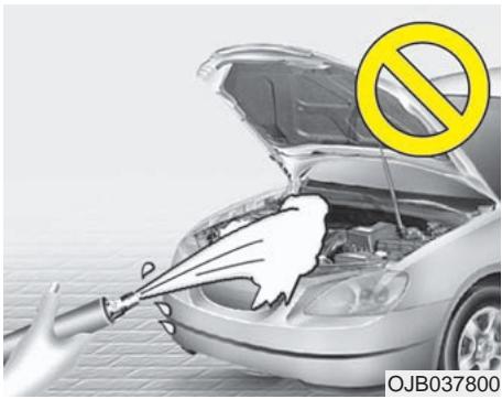 KIA Magentis MG (2005-2010) - Avertissement - freins mouillés - 1