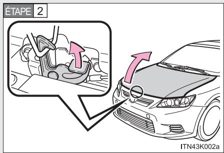 Scion tC 2 (2012) - Capot - 2