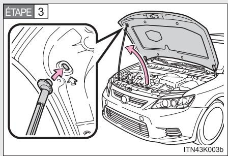 Scion tC 2 (2012) - Capot - 3