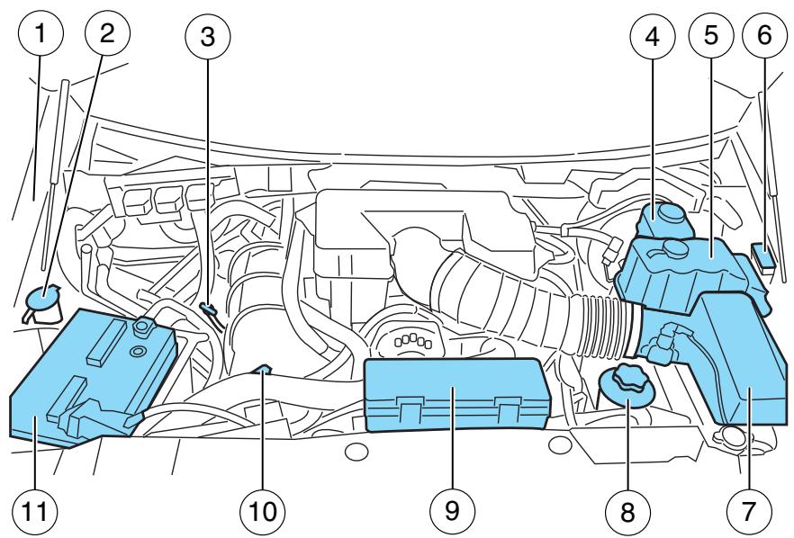 FORD F-150 (2009-2014) - Moteur et transmission - 1