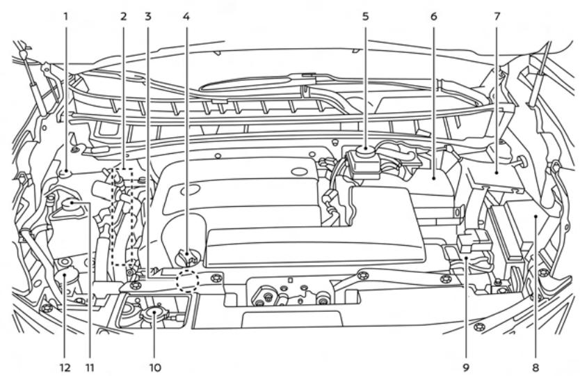 NISSAN Murano (2022) - POINTS De verification dans le compartiment moteur - 1