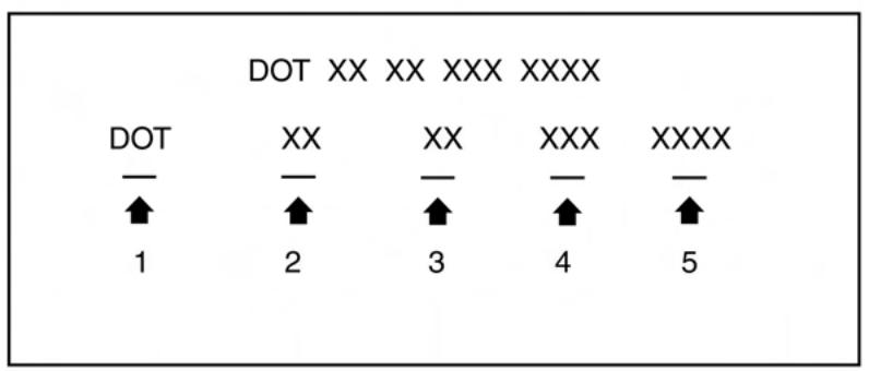 NISSAN Murano (2022) - Averagement - 4