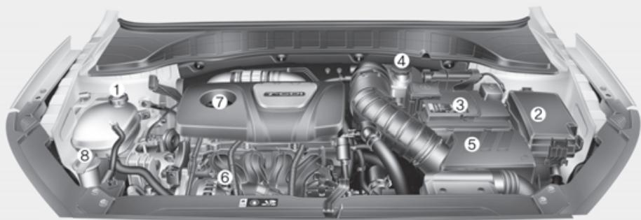 HYUNDAI Kona (2017-2020) - COMPARTIMENT MOTEUR - 2