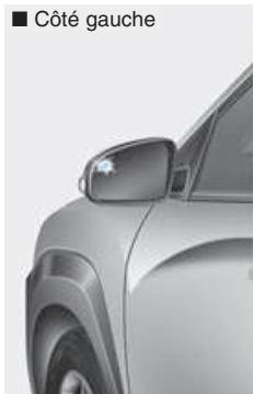 HYUNDAI Kona (2017-2020) - Alerte de niveau 1 - 1