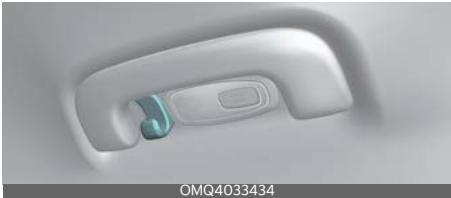 KIA Carnival (2025) - Porte-manteau - 1