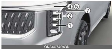 KIA Carnival (2025) - Position d'ampoule de feu (avant) - 1