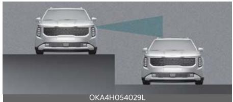 KIA Carnival (2025) - AVERTISSEMENT - 4