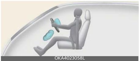 KIA Carnival (2025) - AVERTISSEMENT - 1