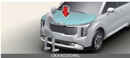 KIA Carnival (2025) - Fermeture du capot - 1