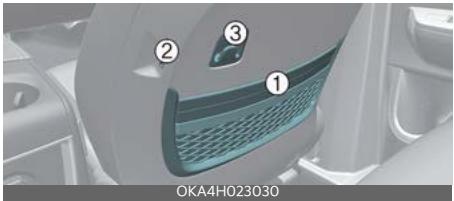 KIA Carnival (2025) - Pochette de dossier de siège - 1