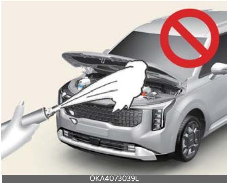 KIA Carnival (2025) - MISE EN GARDE - 1