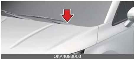 KIA Carnival (2025) - Numéro d'identification du véhicule (VIN) - 1