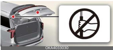 KIA Carnival (2025) - AVERTISSEMENT - 1