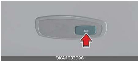 KIA Carnival (2025) - Plafonnier - 2