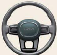 KIA Carnival (2025) - Klaxon - 1