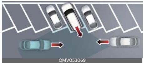 KIA Carnival (2025) - [A]: Structure - 2