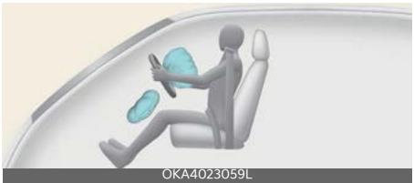 KIA Carnival (2025) - AVERTISSEMENT - 2