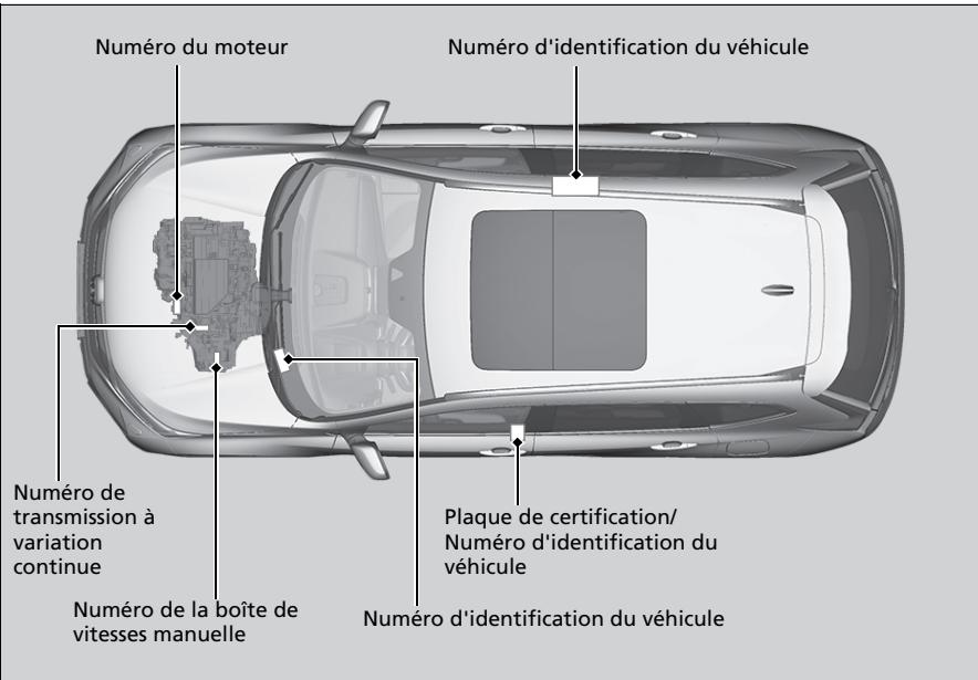 Honda CR-V 5 (2017-2020) - Numéro d'identification du véhicule (VIN), numéro de moteur et numéro de transmission - 1