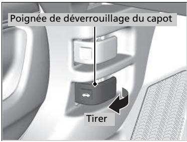 Honda CR-V 5 (2017-2020) - Ouverture du capot - 1