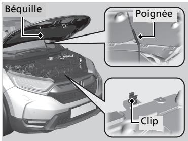 Honda CR-V 5 (2017-2020) - Ouverture du capot - 3
