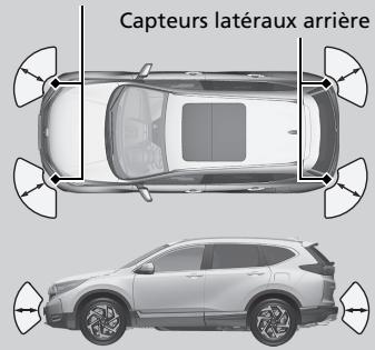 Honda CR-V 5 (2017-2020) - ■ Emplacement et portée des capteurs - 1