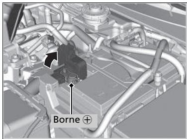Honda CR-V 5 (2017-2020) - Démarrage de secours - 1