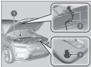 Honda e:Ny1 - REMARQUE - 1