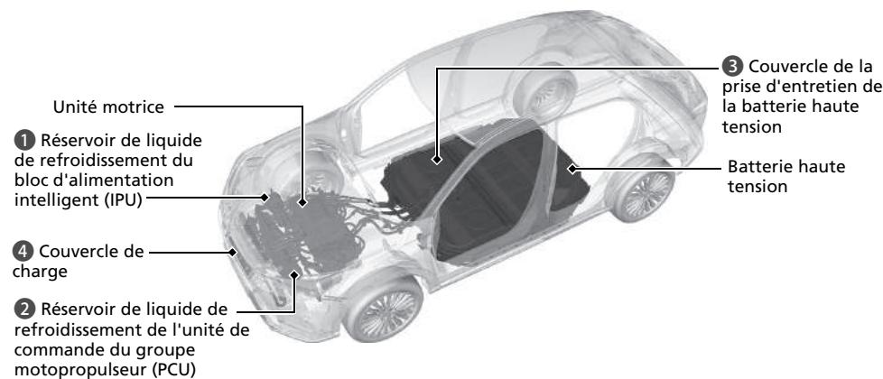 Honda e:Ny1 - Composants haute tension, câbles haute tension et composants à haute température - 1