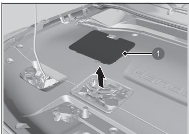 Honda e:Ny1 - Contrôle du liquide de refroidissement - 1