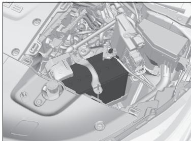 Honda e:Ny1 - Vérification de la batterie 12 V - 1