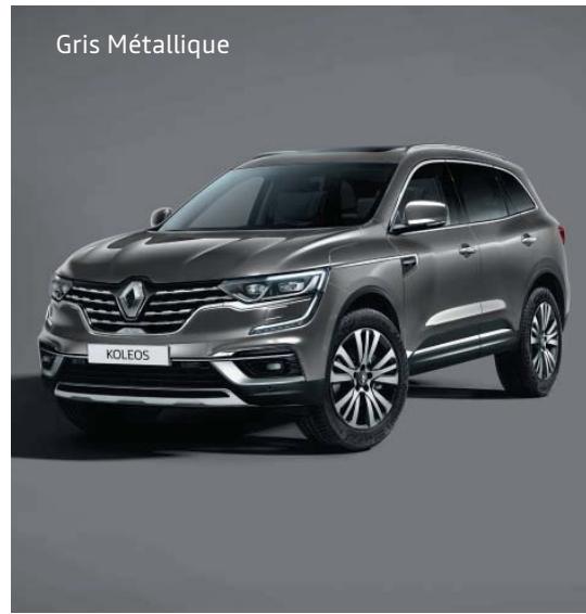 RENAULT Koleos 2 (2019-2021) - Carlab - 9