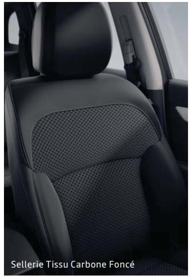 RENAULT Koleos 2 (2019-2021) - Options - 1