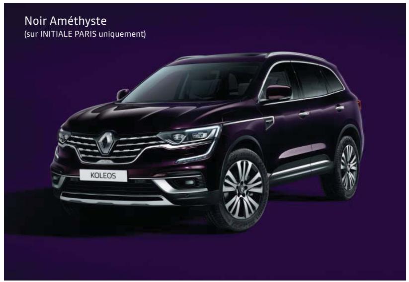 RENAULT Koleos 2 (2019-2021) - Carlab - 2