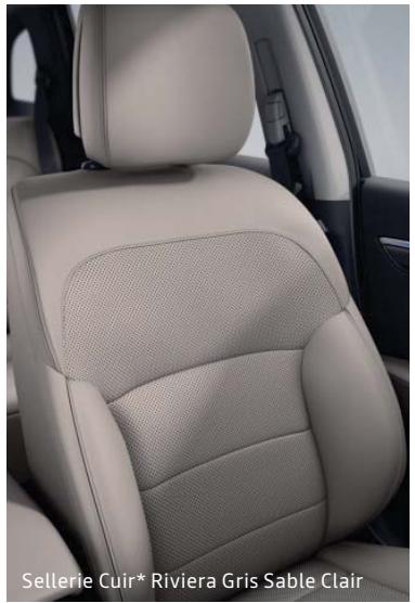 RENAULT Koleos 2 (2019-2021) - Options - 8