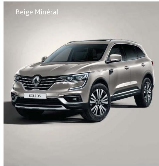 RENAULT Koleos 2 (2019-2021) - Carlab - 8