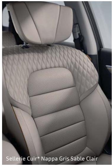 RENAULT Koleos 2 (2019-2021) - Options - 10