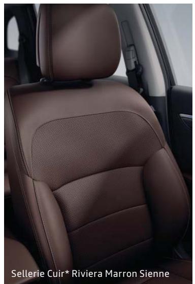 RENAULT Koleos 2 (2019-2021) - Options - 3