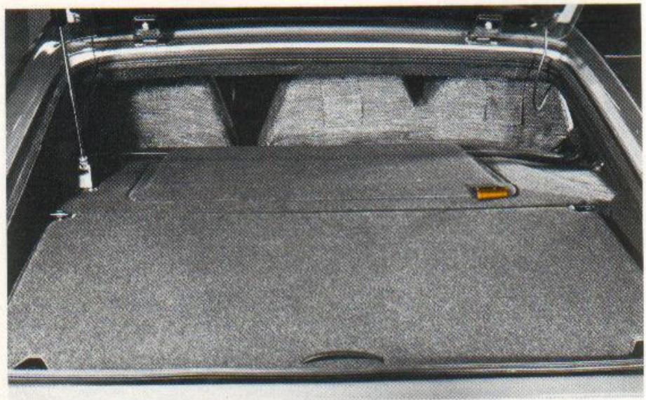 MATRA Bagheera (1976-1980) - Ouvertures - 1