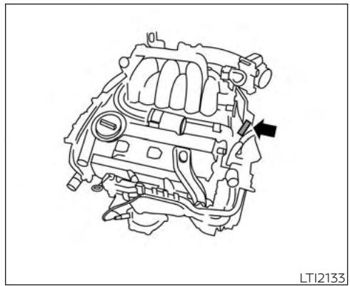 NISSAN Maxima 2019 - IDENTIFICATION DU VÉHICULE - 3