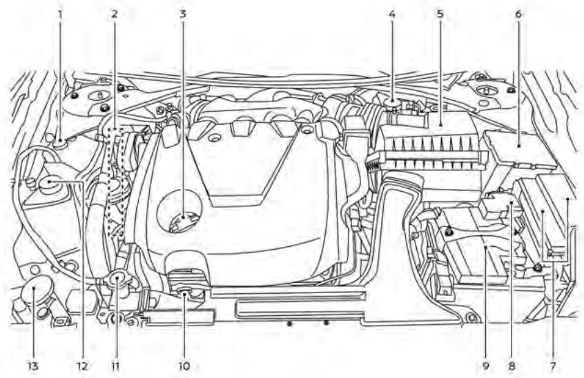 NISSAN Maxima 2021 - POINTS DE VÉRIFICATION DANS LE COMPARTIMENT MOTEUR - 1