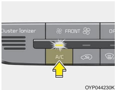 KIA Sedona YP (2014-2018) - AVERTISSEMENT - 2