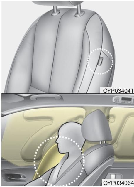 KIA Sedona YP (2014-2018) - AVERTISSEMENT - 1