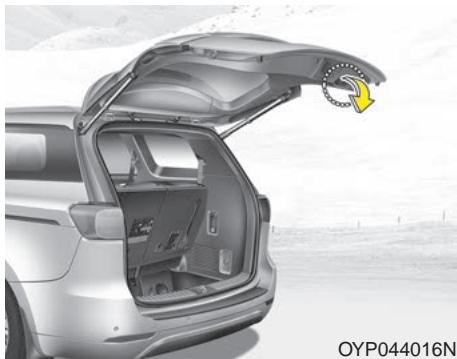 KIA Sedona YP (2014-2018) - MISE EN GARDE - Jambe du hayon - 1