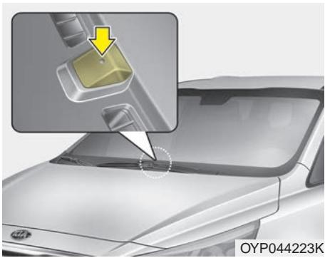KIA Sedona YP (2014-2018) - \* AVIS - 1