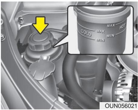 KIA Rondo UN (2006-2010) - LIQUIDE DE SERVODIRECTION - 1