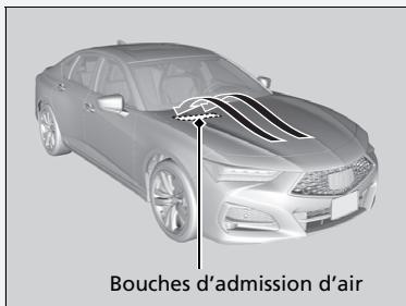 Acura TLX (2022) - Lavage du vehicule - 1
