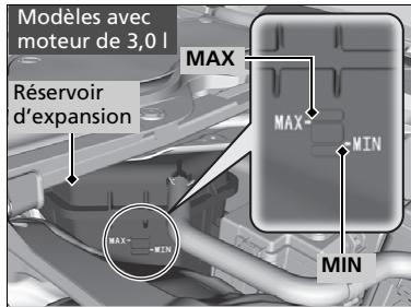 Acura TLX (2022) - ATTENTION - 1