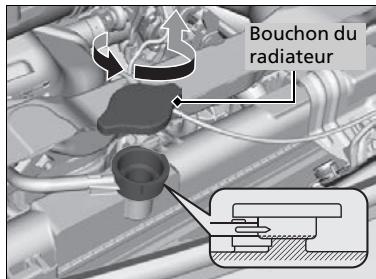 Acura TLX (2022) - Radiateur - 1