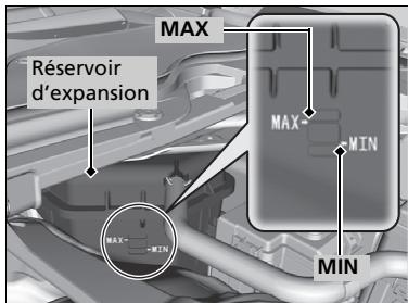 Acura TLX (2022) - Vérification du liquide de refroidissement - 1